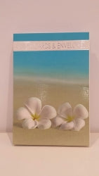 Ozcorp Notelet Set Frangipanis (Each)