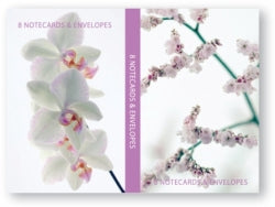 Ozcorp Notelet Set Orchid & Blossom (8CRDS/ENV) (Each)