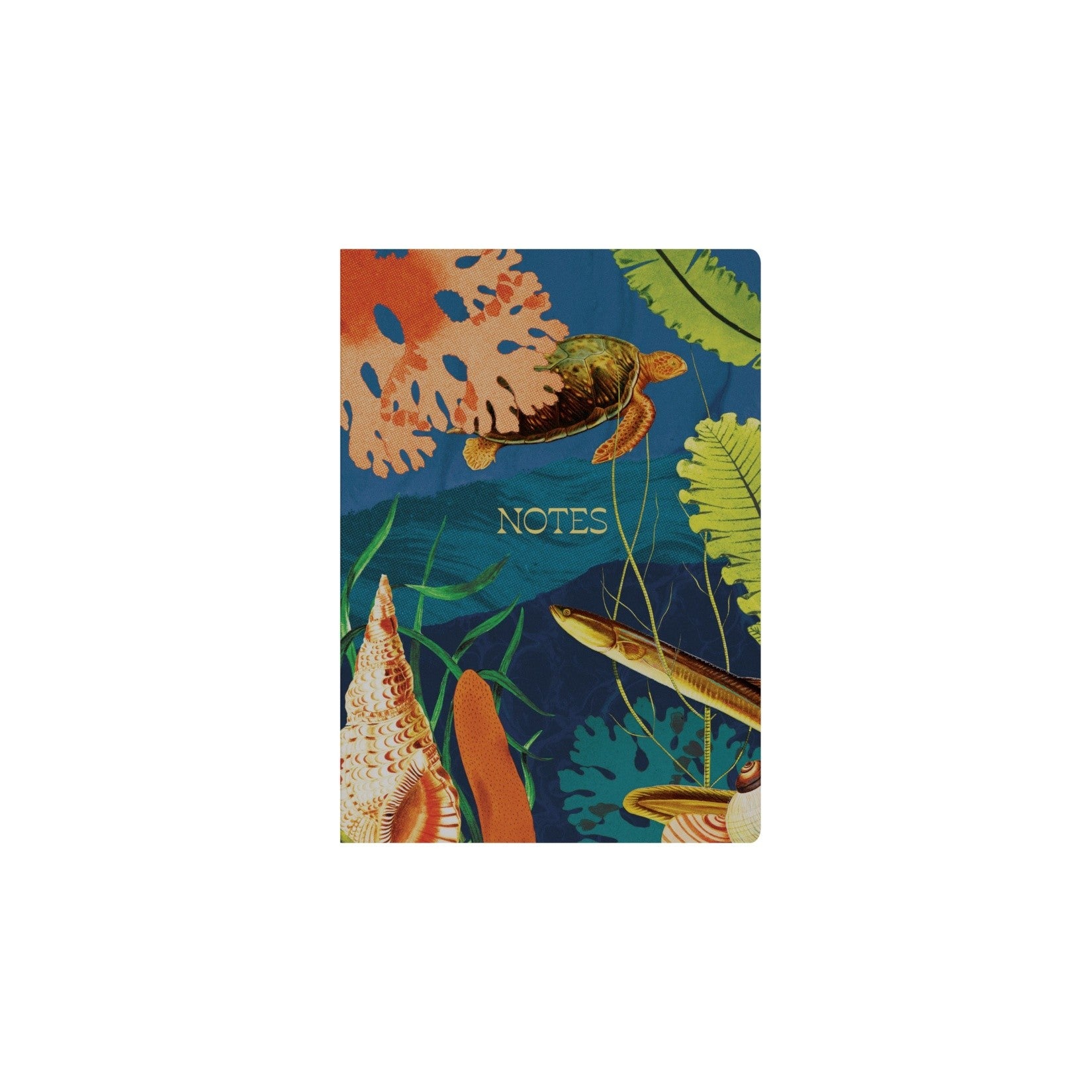 Collins Notebook Modern Organic A5 Rcyl Ruled Bird (Each)