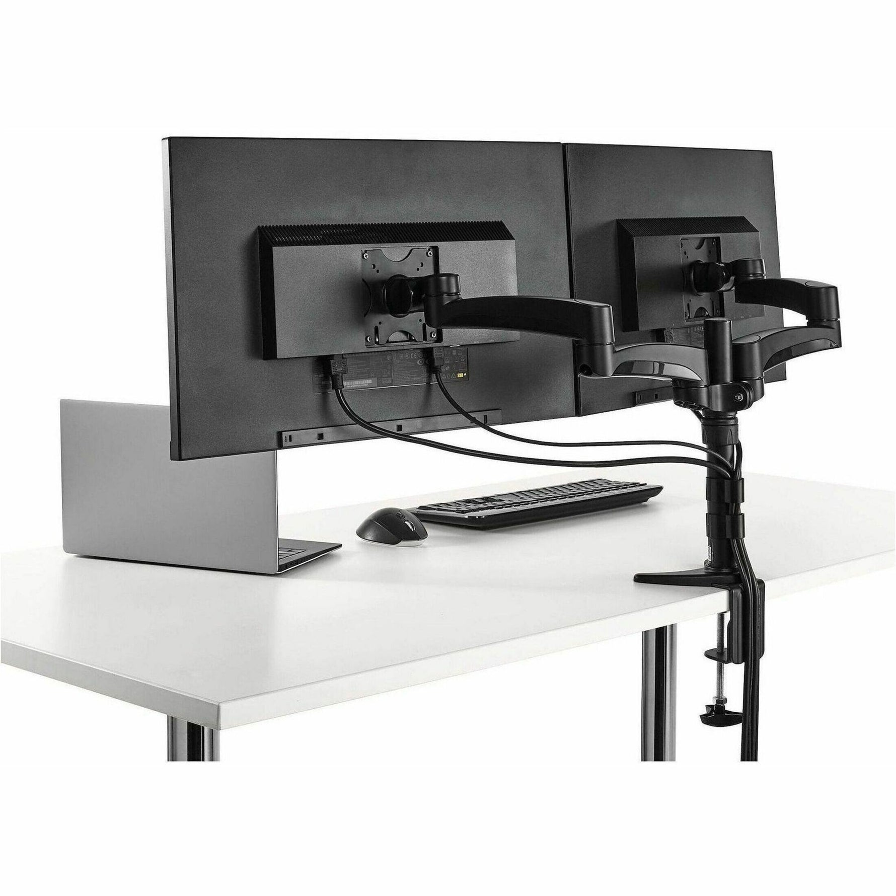 StarTech.com Desk Mount Dual Monitor Arm, Dual Articulating Monitor Arm, Height Adjustable, For VESA Monitors up to 24' (29.9lb/13.6kg) - Alternate view 7
