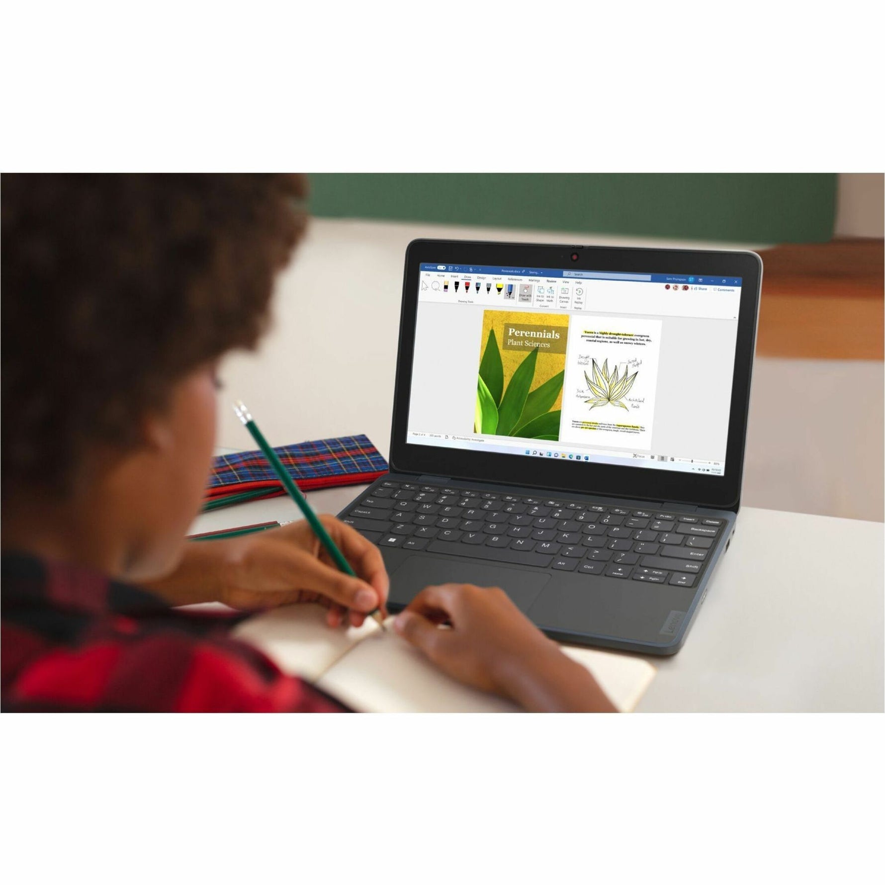 Lenovo 100w Gen 4 82VLS02400 11.6' Notebook - HD - Intel N-Series N100 - 4 GB - 128 GB SSD - English (US) Keyboard - Slate Grey - Alternate view 10