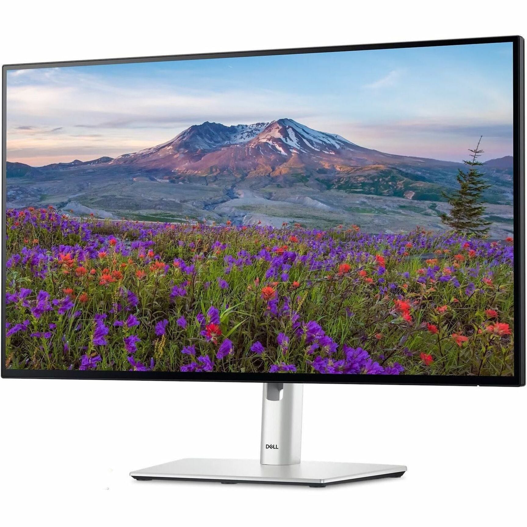 Dell UltraSharp U2424H 24' Class Full HD LED Monitor - 16:9 - Silver - Alternate view 19