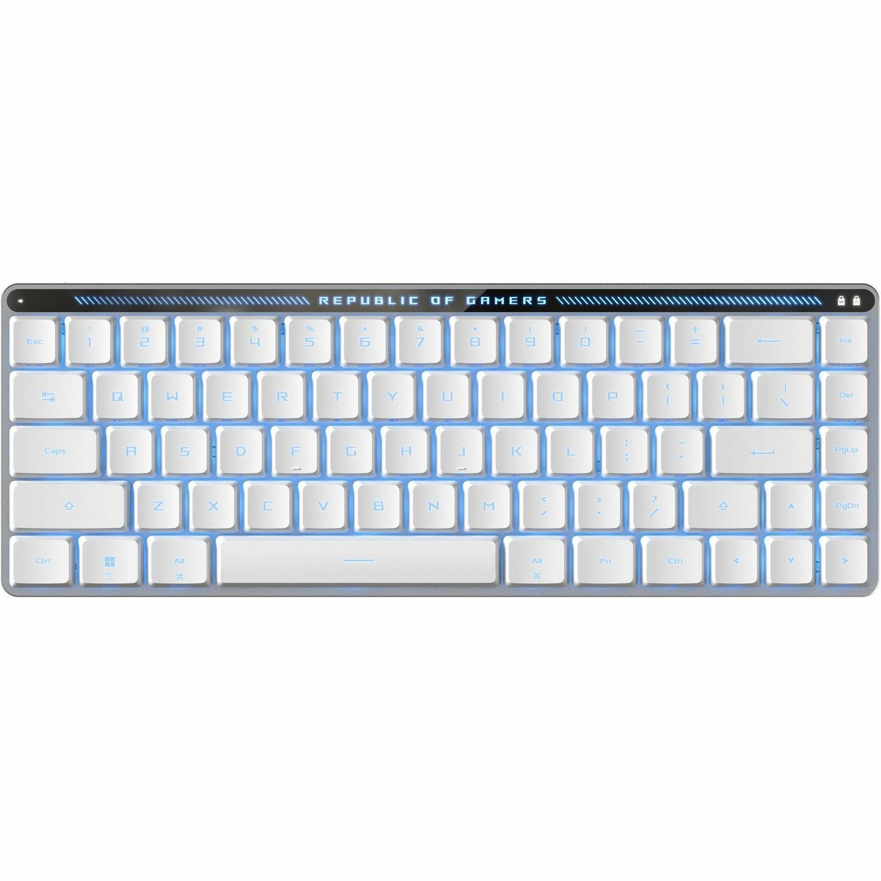 Asus ROG Falchion RX Low Profile Gaming Keyboard - Compact - Wired/Wireless Connectivity - USB 2.0 Interface - RGB LED - Top view