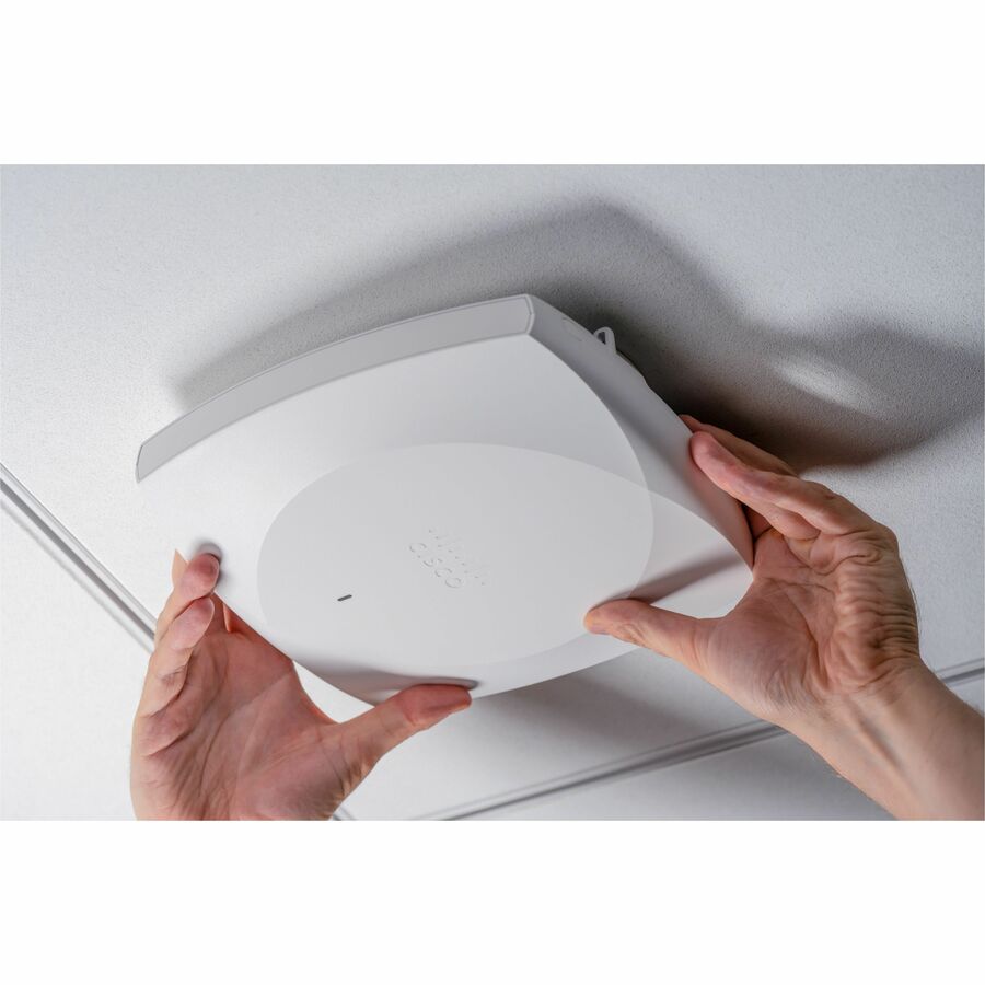 Alternate-Image10