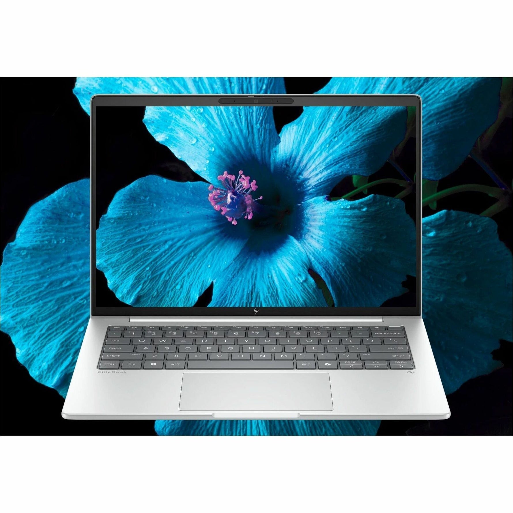 HP EliteBook 8 G1i 14' Touchscreen Notebook - WUXGA - 60 Hz - Intel Core Ultra 7 255U - 16 GB - 512 GB SSD - Glacier Silver