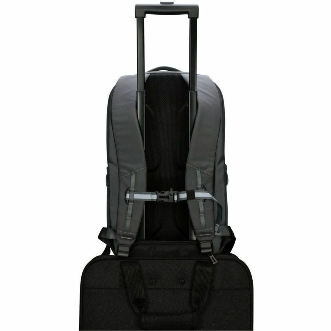 Targus Work + Play TBB65802GL Carrying Case (Backpack) for 38.1 cm (15') to 40.6 cm (16') Notebook - Grey - Alternate view 18