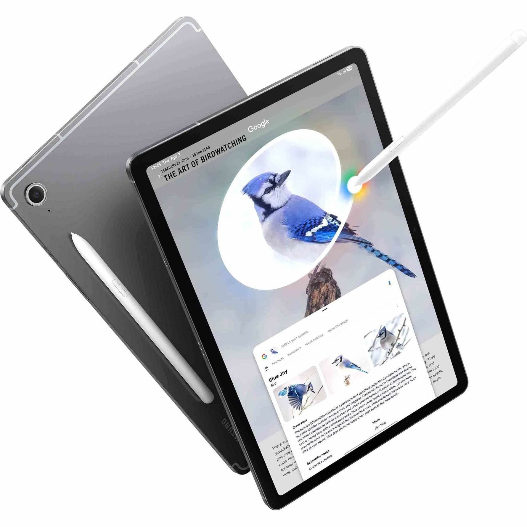 Samsung Galaxy Tab S10 FE 5G SM-X526B Tablet - 10.9' WUXGA+ - Samsung Exynos 1580 (4 nm) Octa-core - 8 GB - 128 GB Storage - 5G - Grey - Alternate view 9