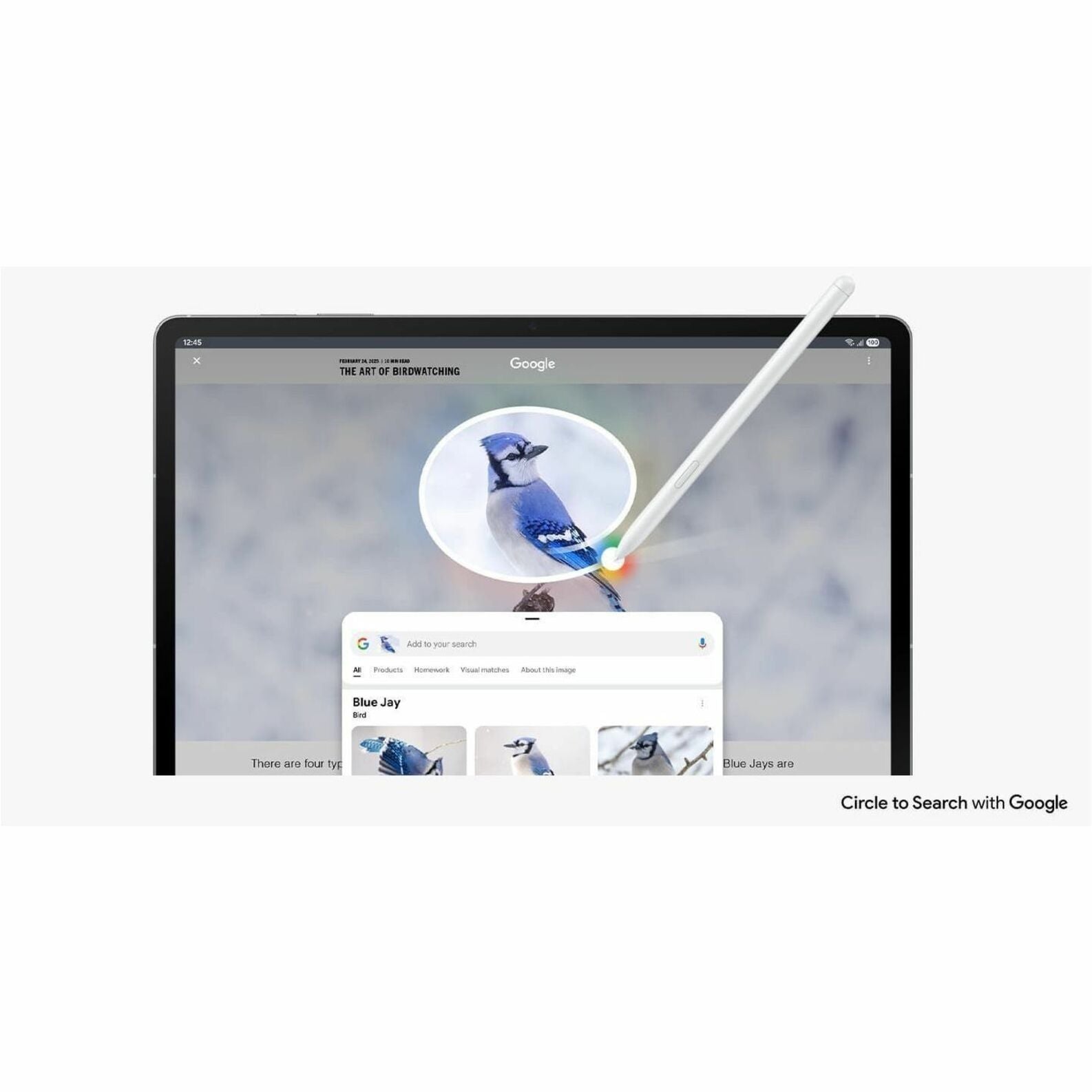 Samsung Galaxy Tab S10 FE 5G SM-X526B Tablet - 10.9' WUXGA+ - Samsung Exynos 1580 (4 nm) Octa-core - 8 GB - 128 GB Storage - 5G - Grey - Alternate view 11