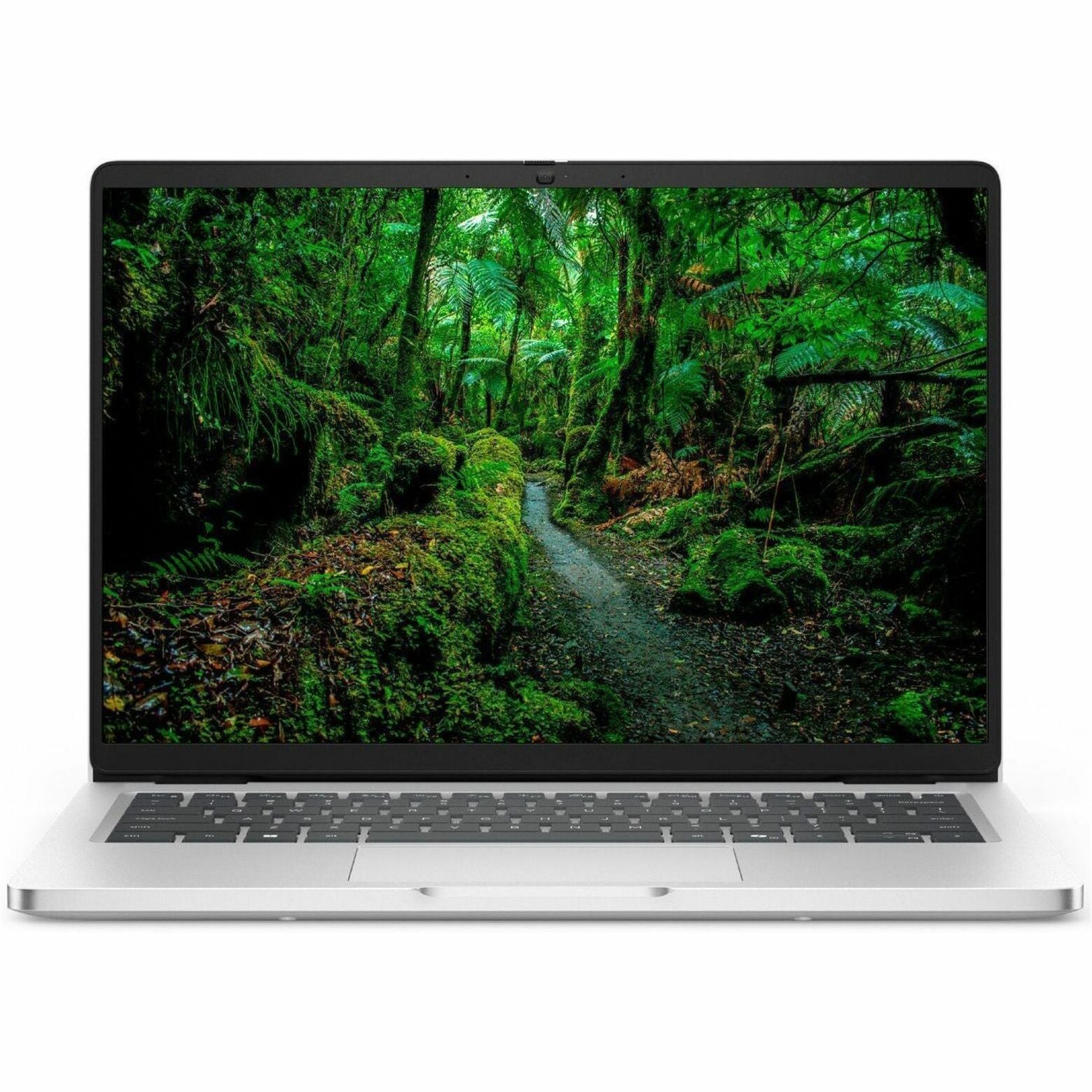 Dell Pro 16 PC16255 16' Copilot+ PC Notebook - Full HD Plus - 60 Hz - AMD Ryzen AI 5 PRO 340 - 16 GB - 512 GB SSD - English (US) Keyboard - Platinum Silver - Alternate view 11