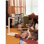 LG 32U889SA-W 32' Class Smart LCD Touchscreen Monitor - 16:9 - 5 ms - Alternate view 23