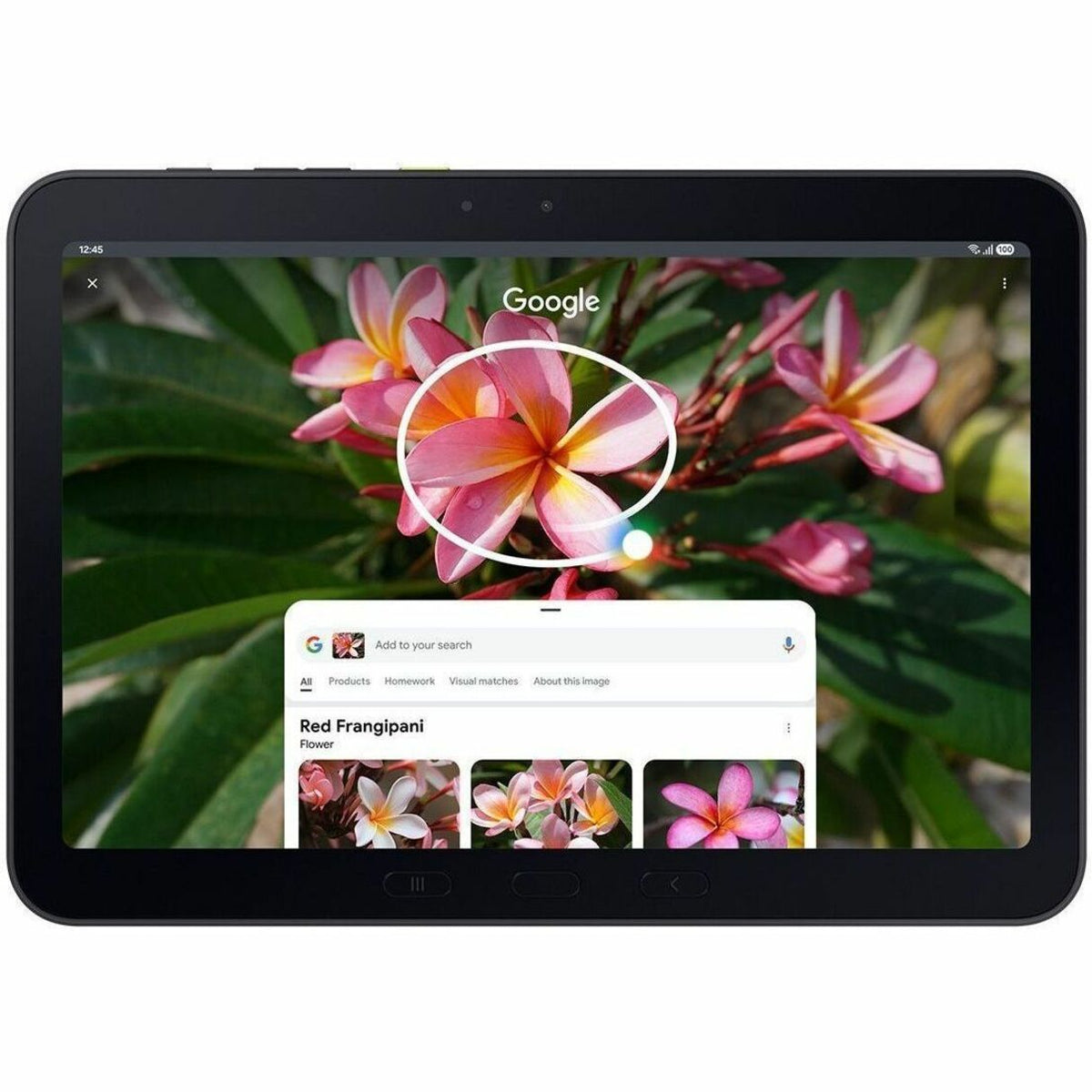 Samsung Galaxy Tab Active5 Pro 5G Enterprise Edition SM-X356B Rugged Tablet - 10.1' WUXGA - Qualcomm SM7635 Snapdragon 7s Gen 3 (4 nm) Octa-core - 8 GB - 256 GB Storage - 5G - Green