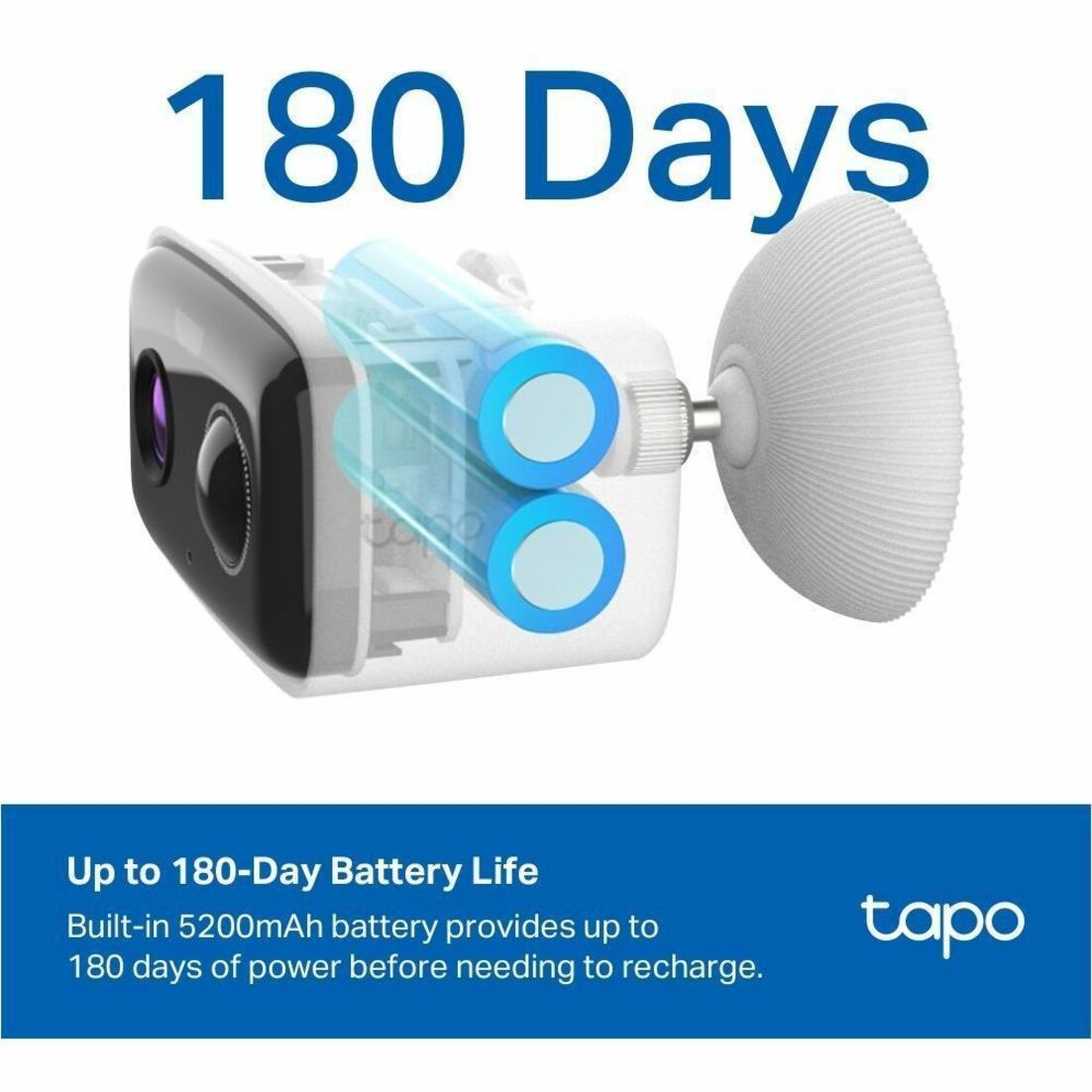 Tapo TC80 2 Megapixel Outdoor Full HD Network Camera - Colour - 1