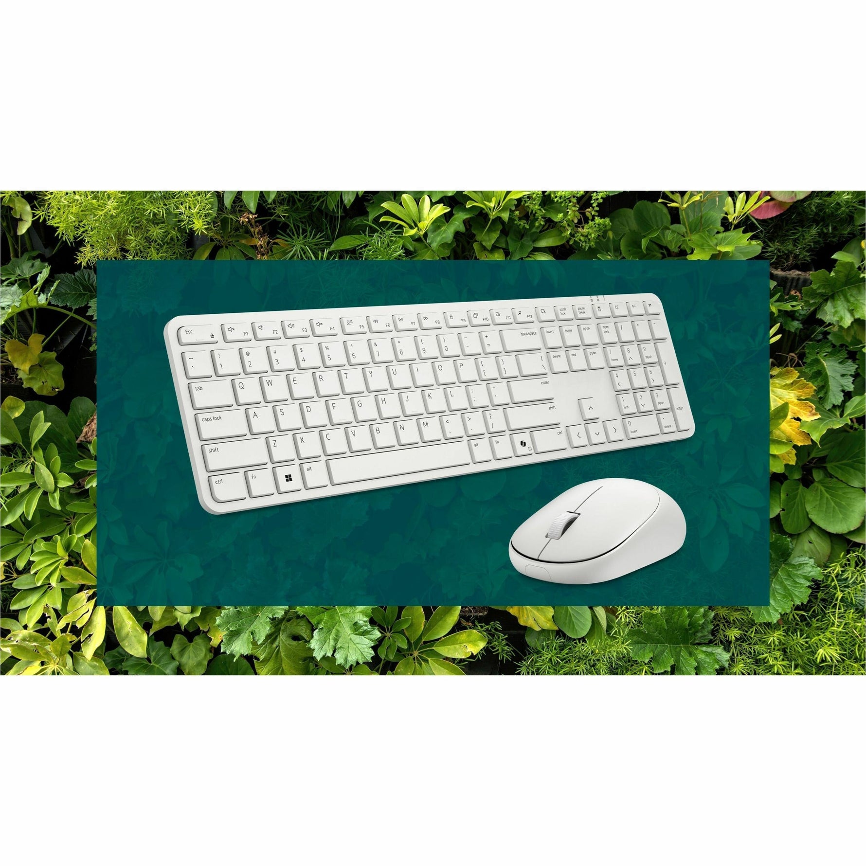 Dell Pro 5 KM526 Keyboard & Mouse - English (US) - Alternate view 9