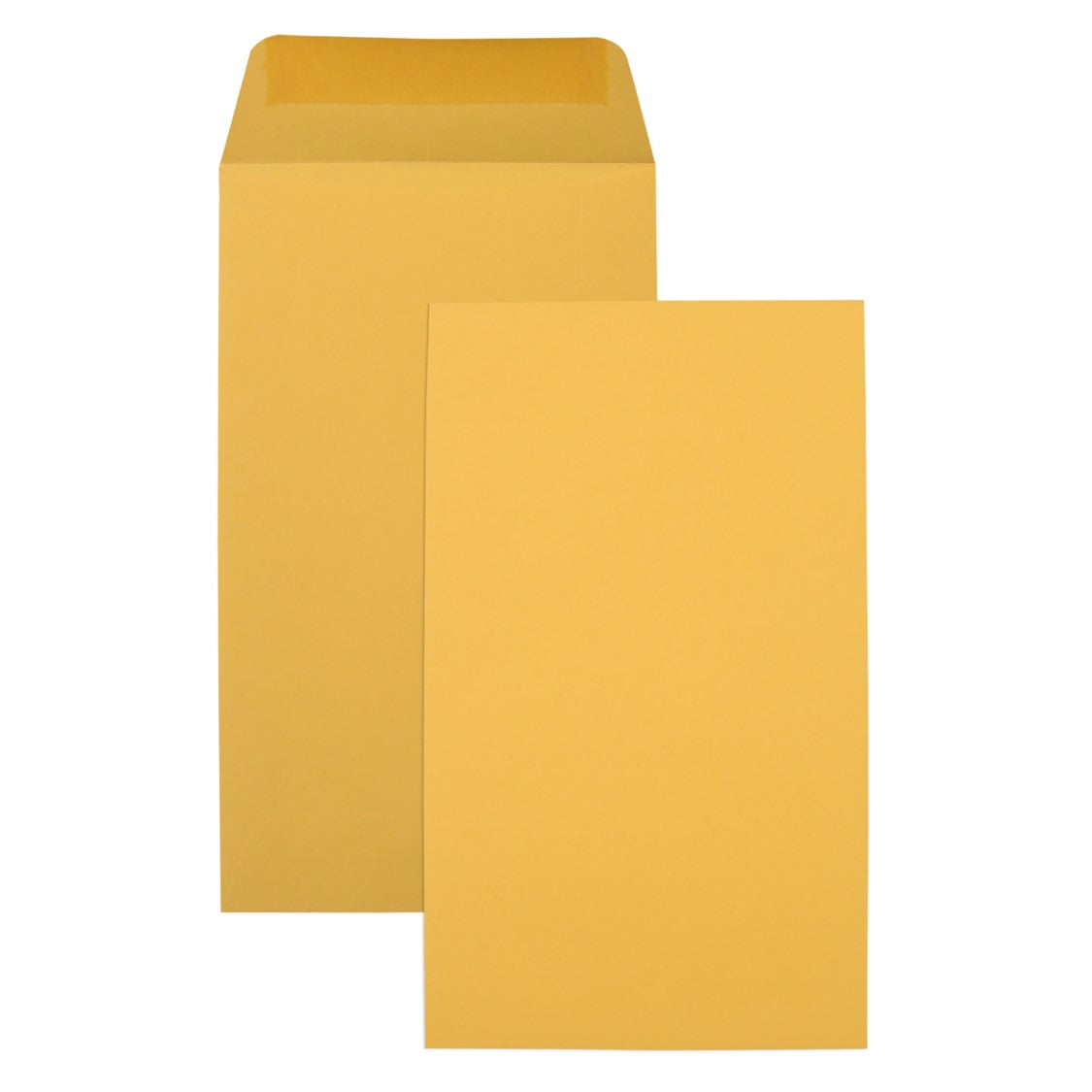 Envelope P4 LICK/STICK Gold Seed Pocket 107x60mm (Box 1000)