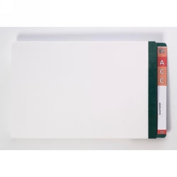 Avery File Lateral 367x242mm Wht Shelf With Dark Green Mylar Tab PK100 (Each)