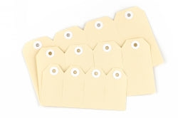 Avery #3 Shipping Tag 96x48 Buff 1000 (Each)