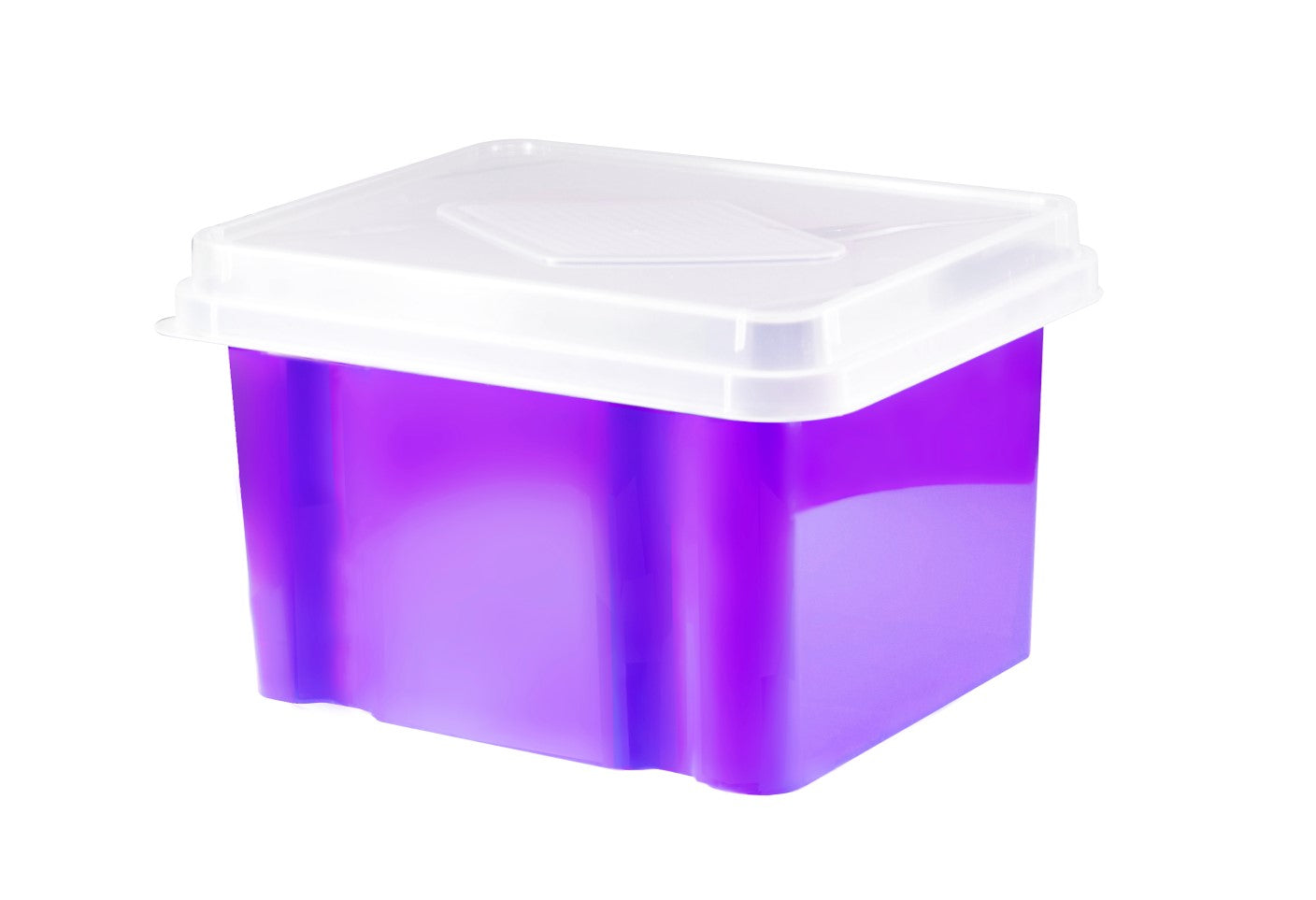 Italplast Storage Box 32L Grape (Each)