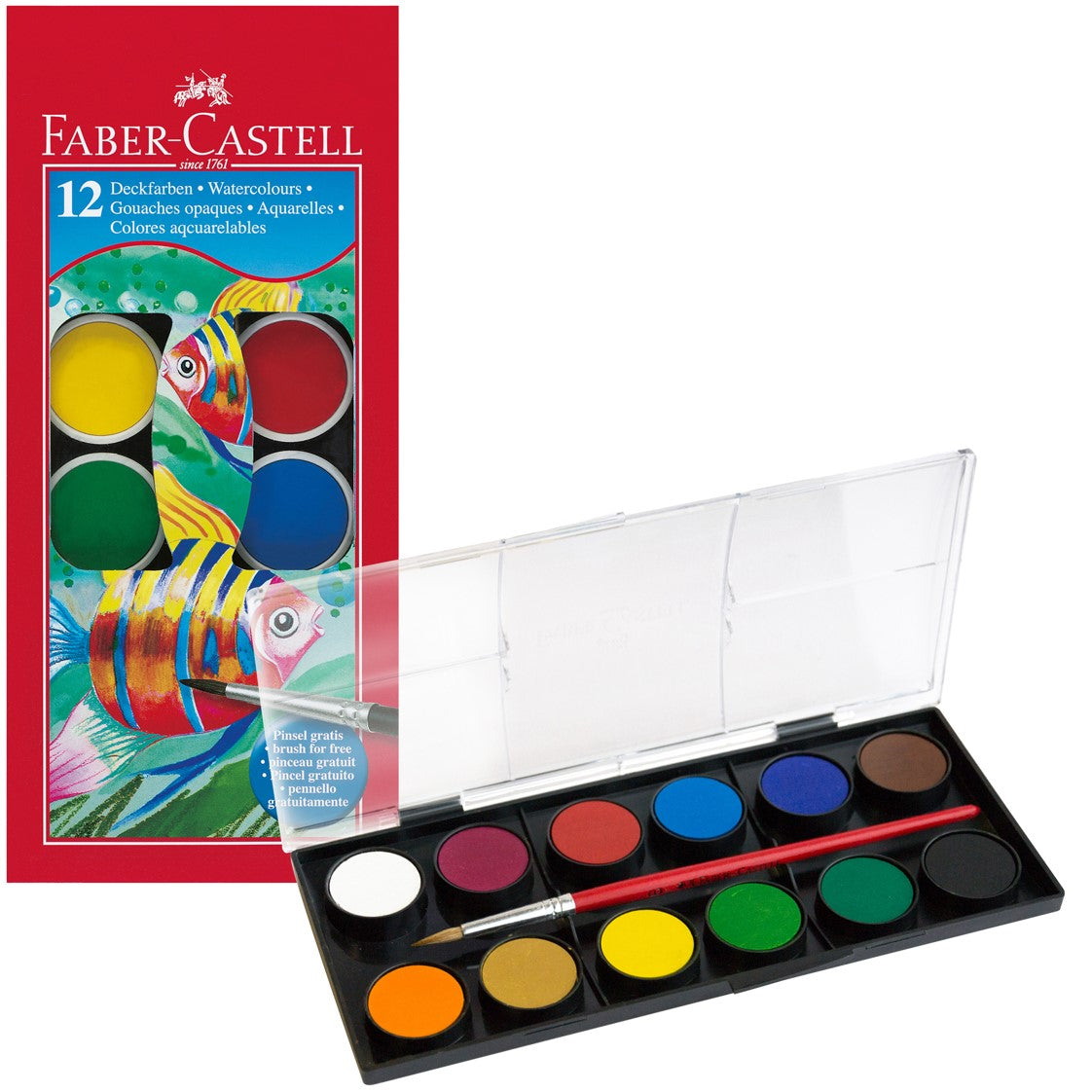 Art & Craft Paint
