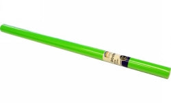 Poster Roll Rainbow 760mmx10M Gloss Light Green (Each)