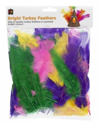 Turkey Feathers 60gm Brights (Each)