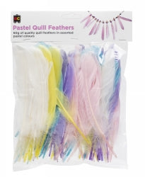 Quill Feathers 60gm Pastel (Each)