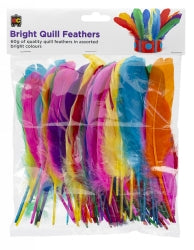Quill Feathers 60gm Brights (Each)