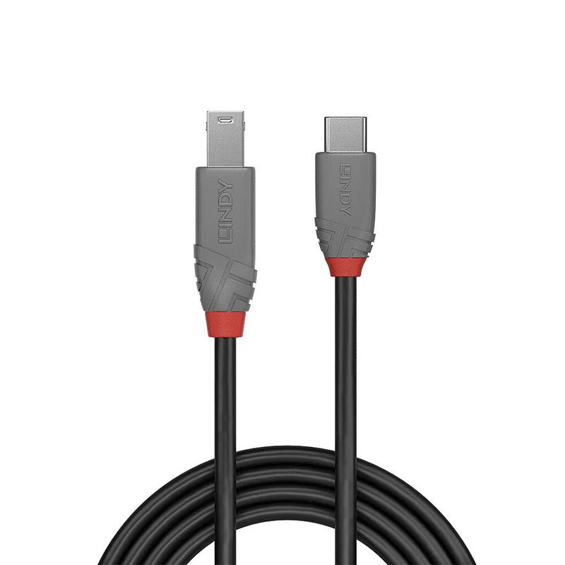 Lindy 3m 5Gbps Anthra Line USB 3.2 Type C to B Cable