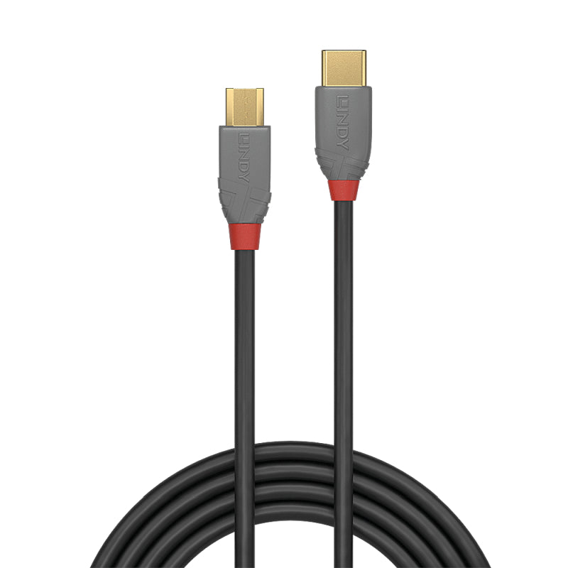 Lindy 1m USB-C 2.0 to Micro-B Cable - Anthra Line