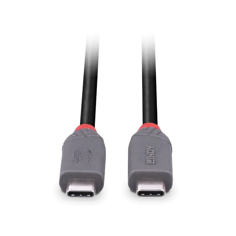 Lindy 2m 40Gbps Anthra Line 240W USB4 Type C Cable