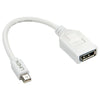 Lindy 20cm Mini DisplayPort to DisplayPort Adapter Cable - Soundz Store AUSTRALIA