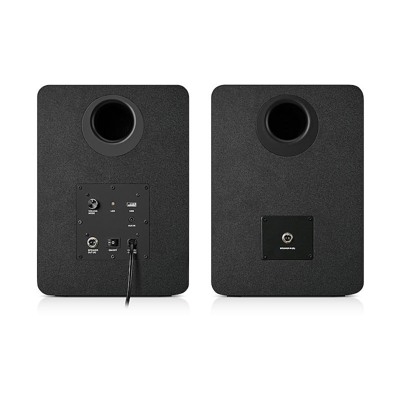 Monster Bluetooth Bookshelf Speaker L