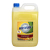 Geca Disinfectant Lemon 3X5L