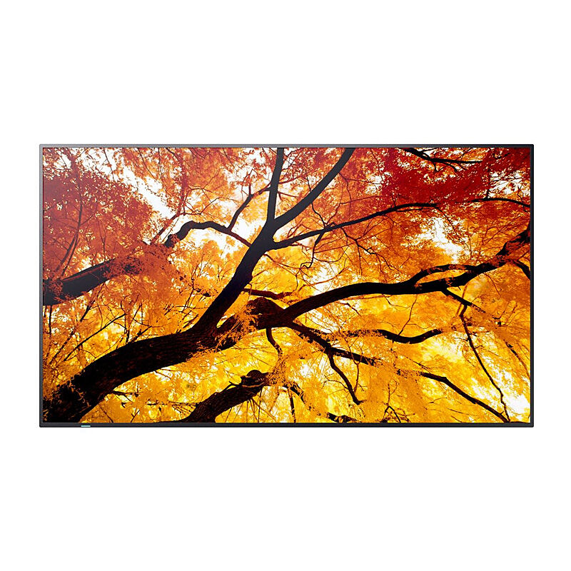 Sharp PN-M652 - M-series 65'' Display