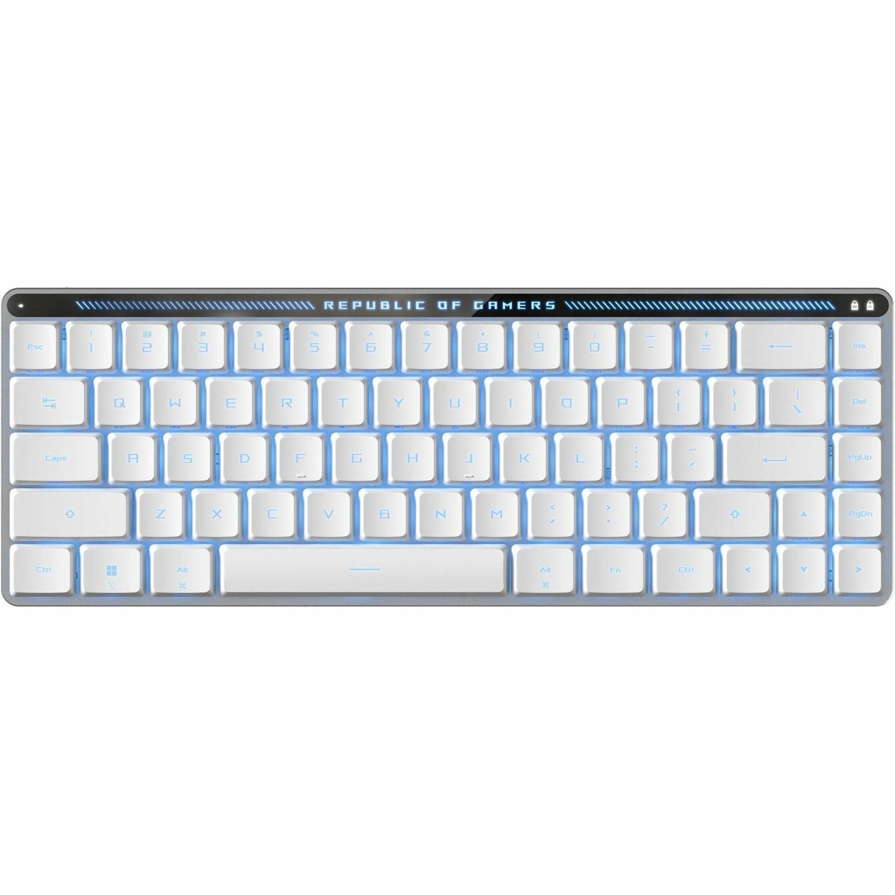 Asus ROG Falchion RX Low Profile Gaming Keyboard - Compact - Wired/Wireless Connectivity - USB 2.0 Interface - RGB LED - Soundz Store AUSTRALIA