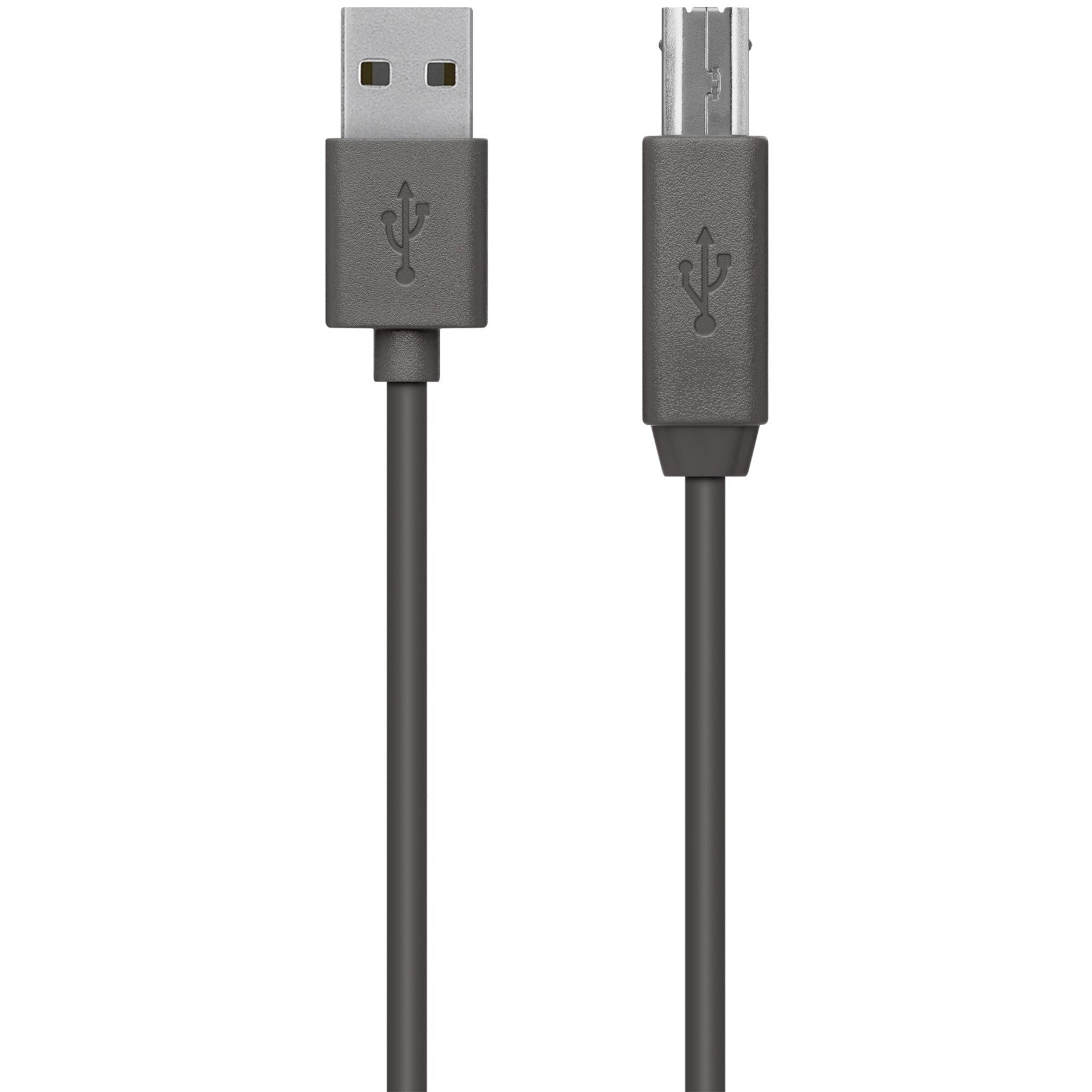 Belkin 1.80 m USB Data Transfer Cable - Soundz Store AUSTRALIA