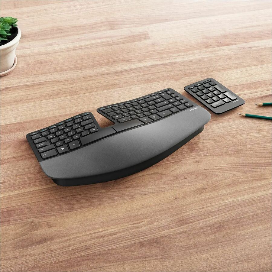 Incase 5KV-00008 - Sculpt Keyboard Ergo - Soundz Store AUSTRALIA
