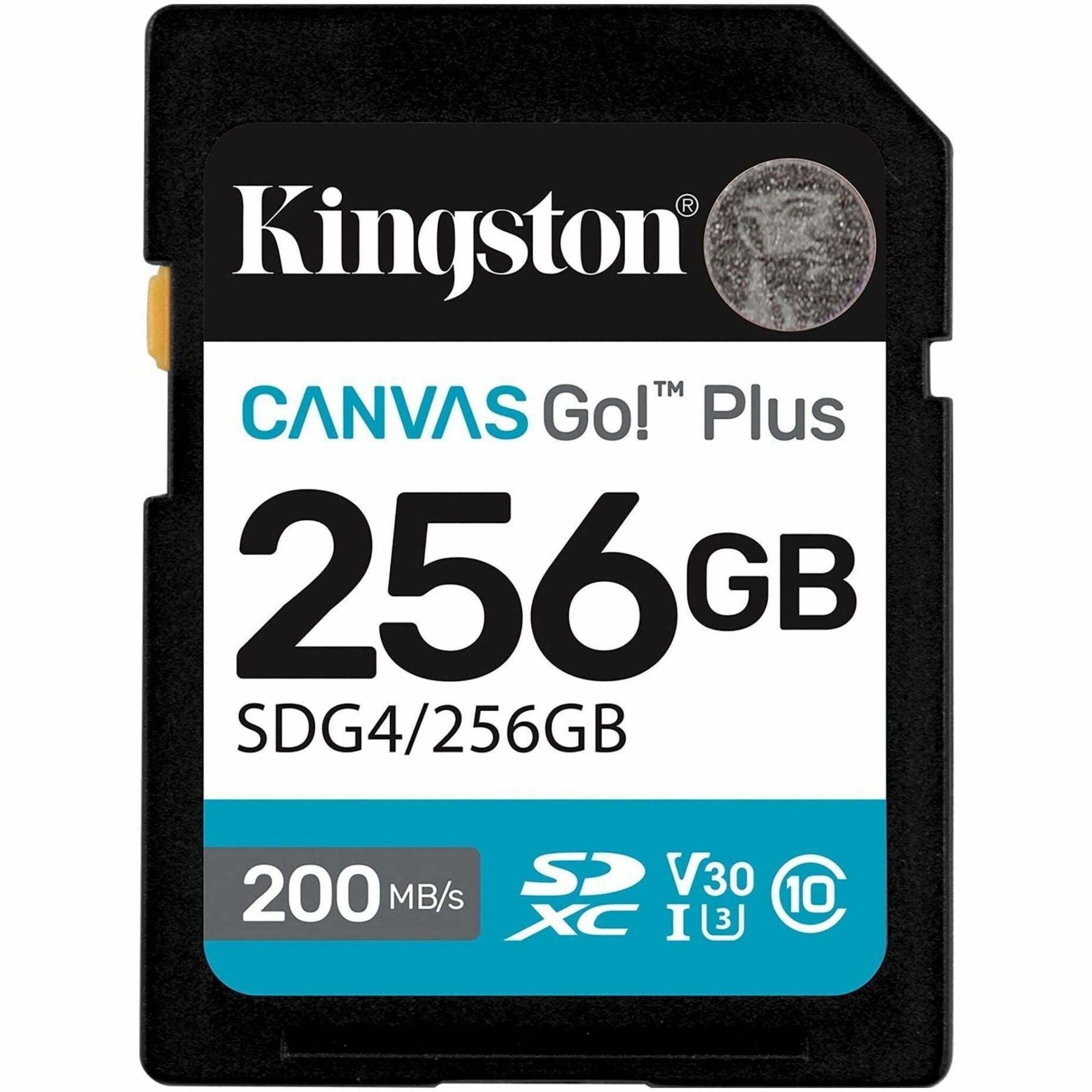 Kingston Canvas Go! Plus 256 GB Class 10/UHS-I (U3) V30 SDXC - Soundz Store AUSTRALIA