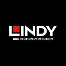 Lindy USB-A Port Blocker Key