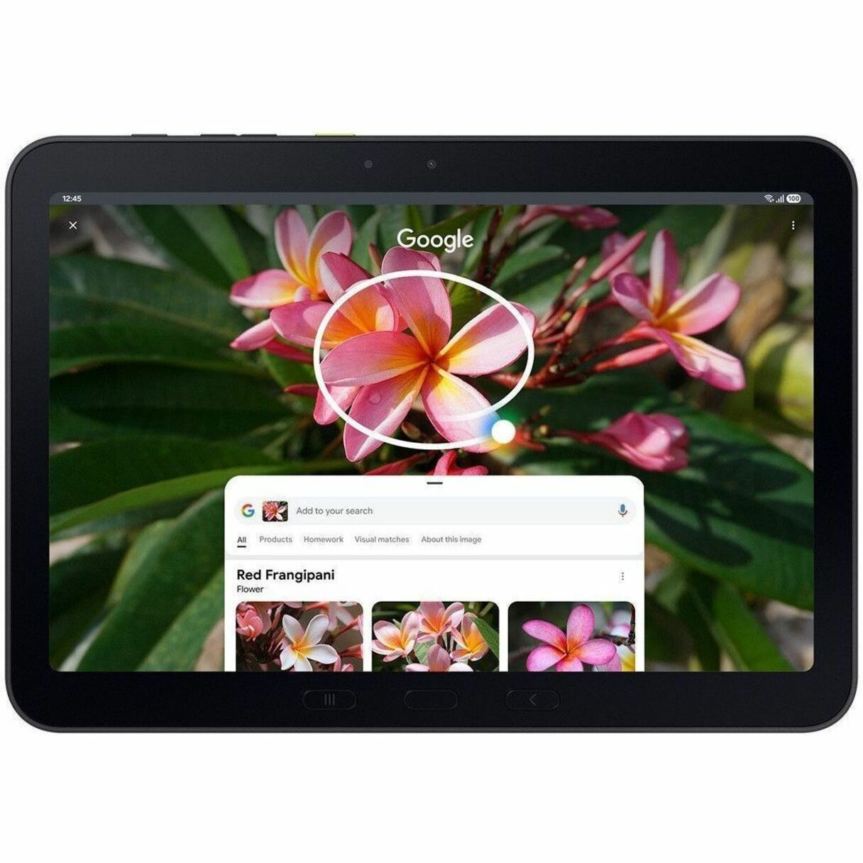 Samsung Galaxy Tab Active5 Pro Enterprise Edition SM-X350 Rugged Tablet - 10.1' WUXGA - Qualcomm SM7635 Snapdragon 7s Gen 3 (4 nm) Octa-core - 8 GB - 256 GB Storage - Green - Soundz Store AUSTRALIA