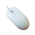 Seal Shield STWM042 Mouse - USB - Optical - 2 Button(s) - White, Silver - Soundz Store AUSTRALIA