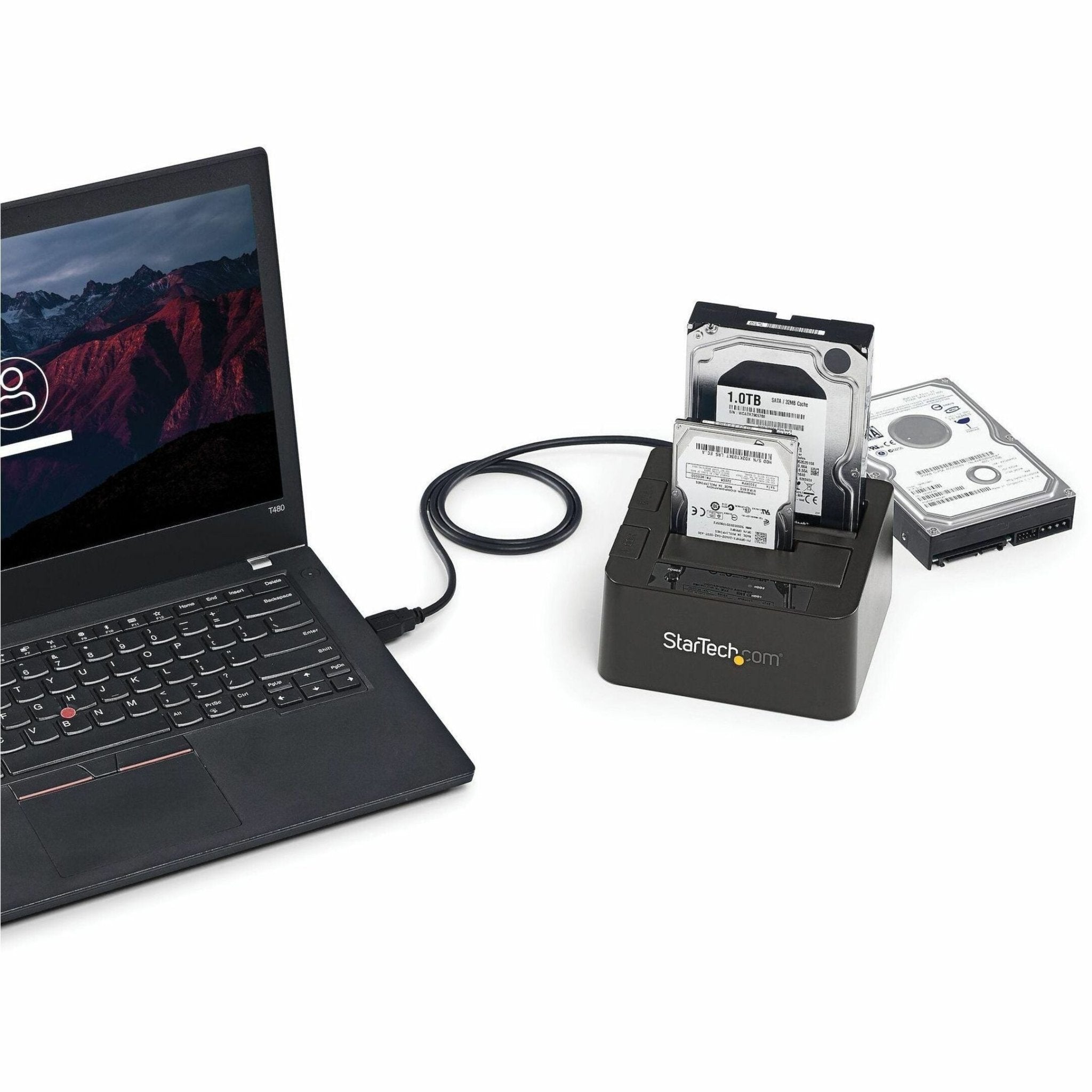 Image alt