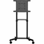 StarTech.com Mobile TV Cart, Portable Rolling TV Stand, 37-70 inch VESA Display Mount (154lb/70kg), Shelf & Storage, Rotate/Tilt Display - Soundz Store AUSTRALIA