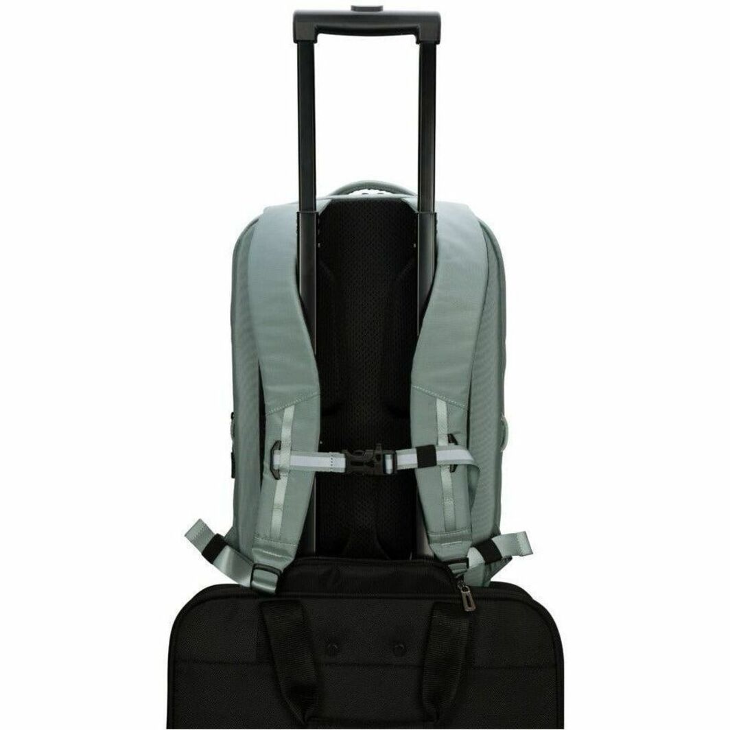 Targus Work + Play TBB65905GL Carrying Case (Backpack) for 38.1 cm (15') to 40.6 cm (16') Notebook - Green - Soundz Store AUSTRALIA