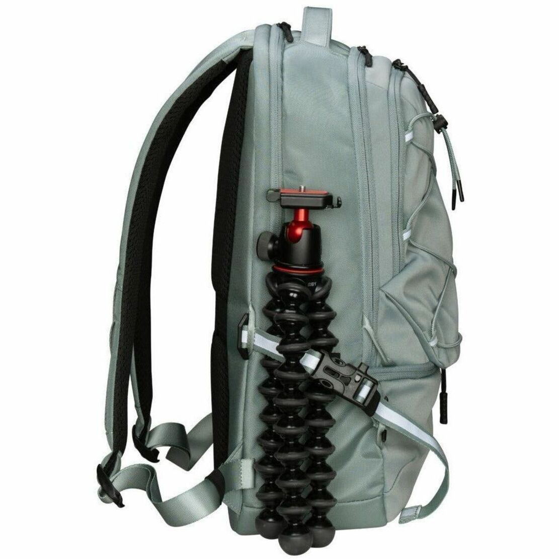 Targus Work + Play TBB65905GL Carrying Case (Backpack) for 38.1 cm (15') to 40.6 cm (16') Notebook - Green - Soundz Store AUSTRALIA